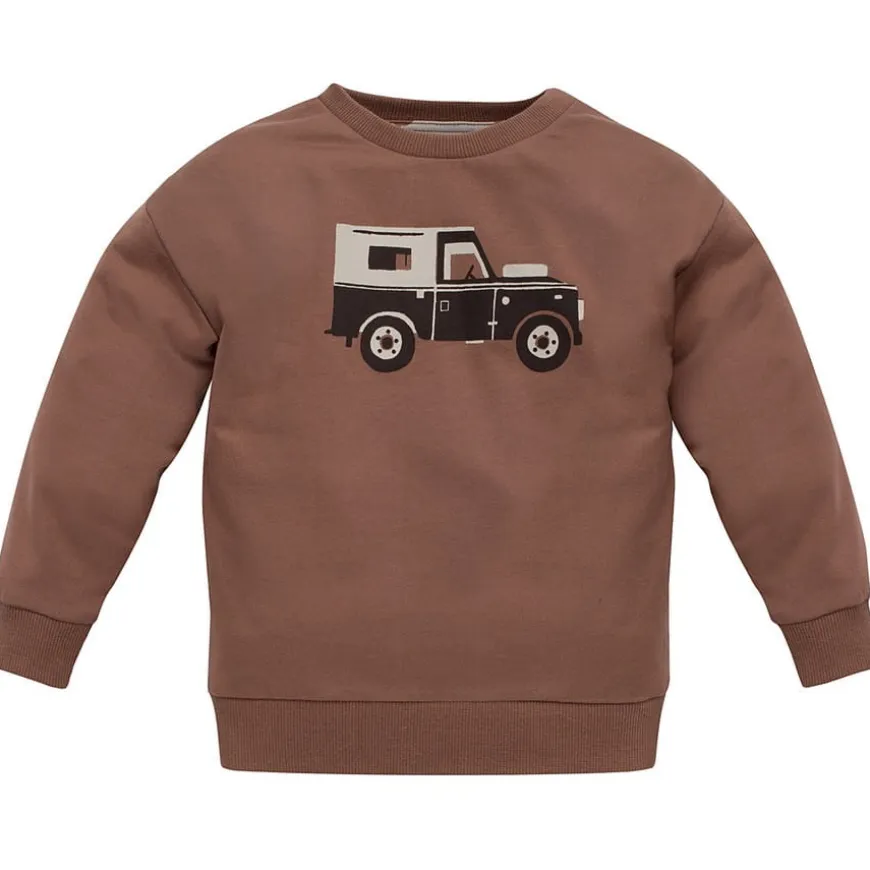 Bluza dla chłopca brązowa z autkiem - Safari | Pinokio