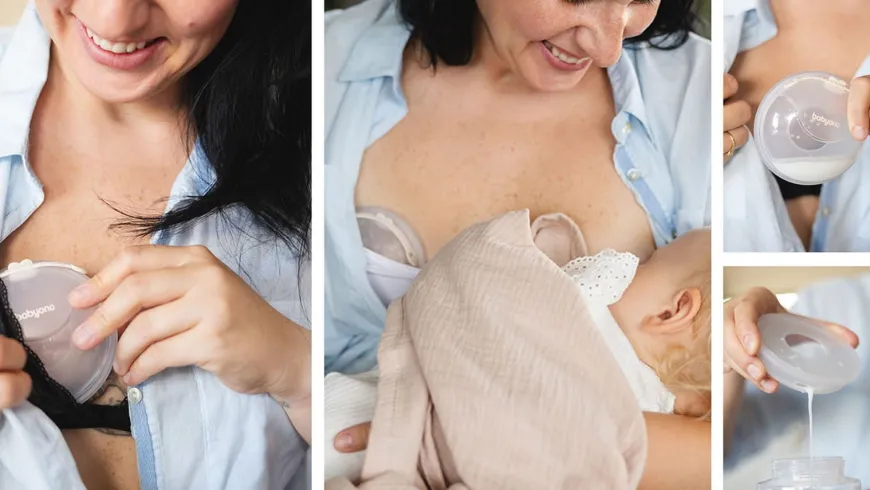 Muszle laktacyjne 2szt kolektory mleka BabyOno