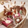 Pozytywka dla niemowląt Rabbit Karo - Baby Ono 1686