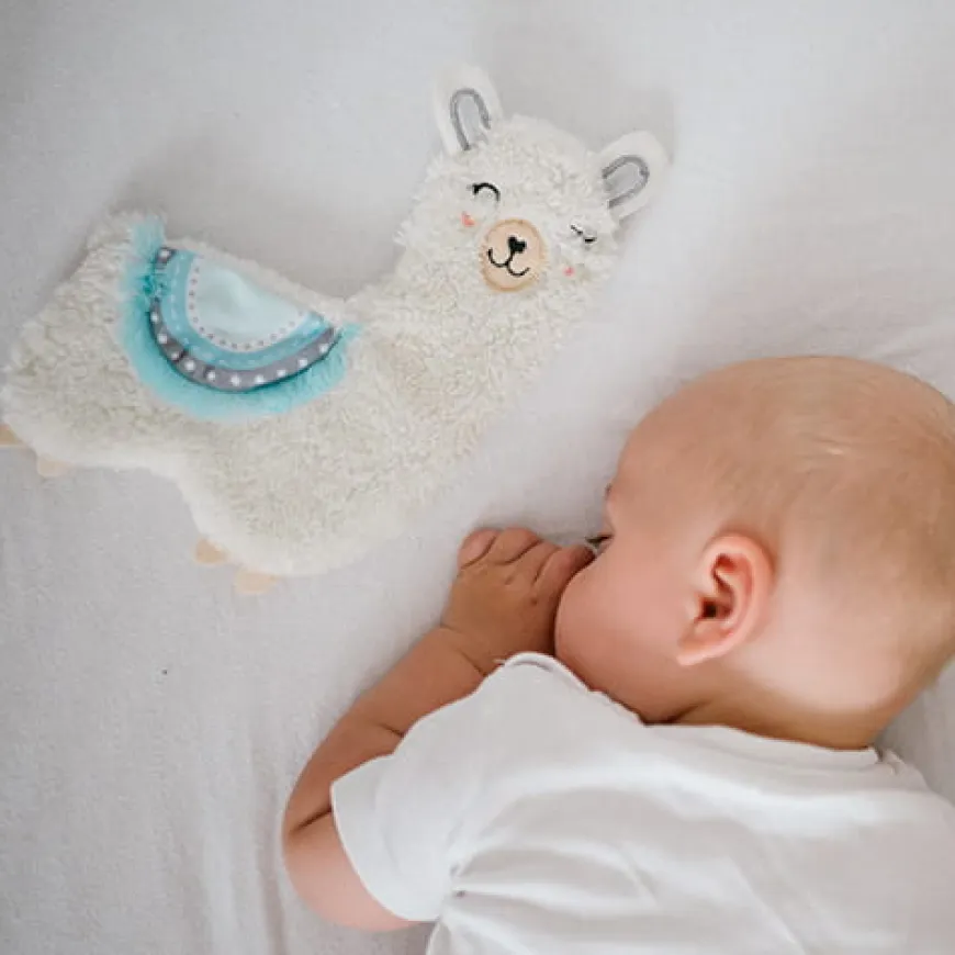 Przytulanka szeleścik dla niemowląt Lama Lulu - turkus | Babyono 1557/02