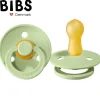 Smoczek uspokajający kauczuk Hevea Pistachio S | Bibs